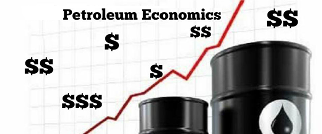 phd in petroleum economics and management